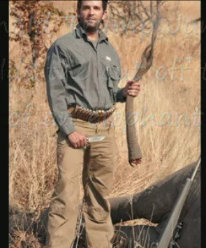 VIDEO. Copiii lui Donald Trump, dupa ce au omorat elefanti: "E ca si cum ai vana caprioare in SUA"