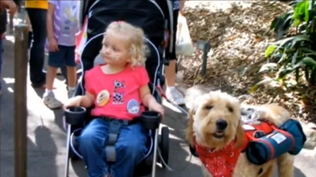 VIDEO. Prietenie impresionanta. Cainele care ii salveaza viata unei fetite de 3 ani in fiecare clipa