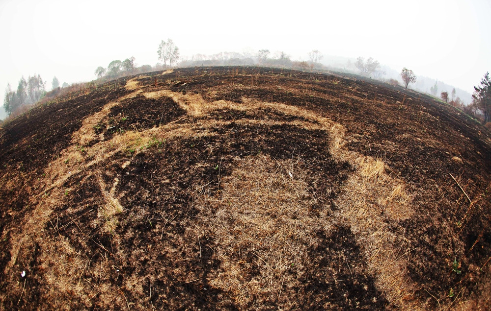 Ne-am putea lua adio de la fondurile europene pentru agricultura. Bruxelles a demarat o ancheta