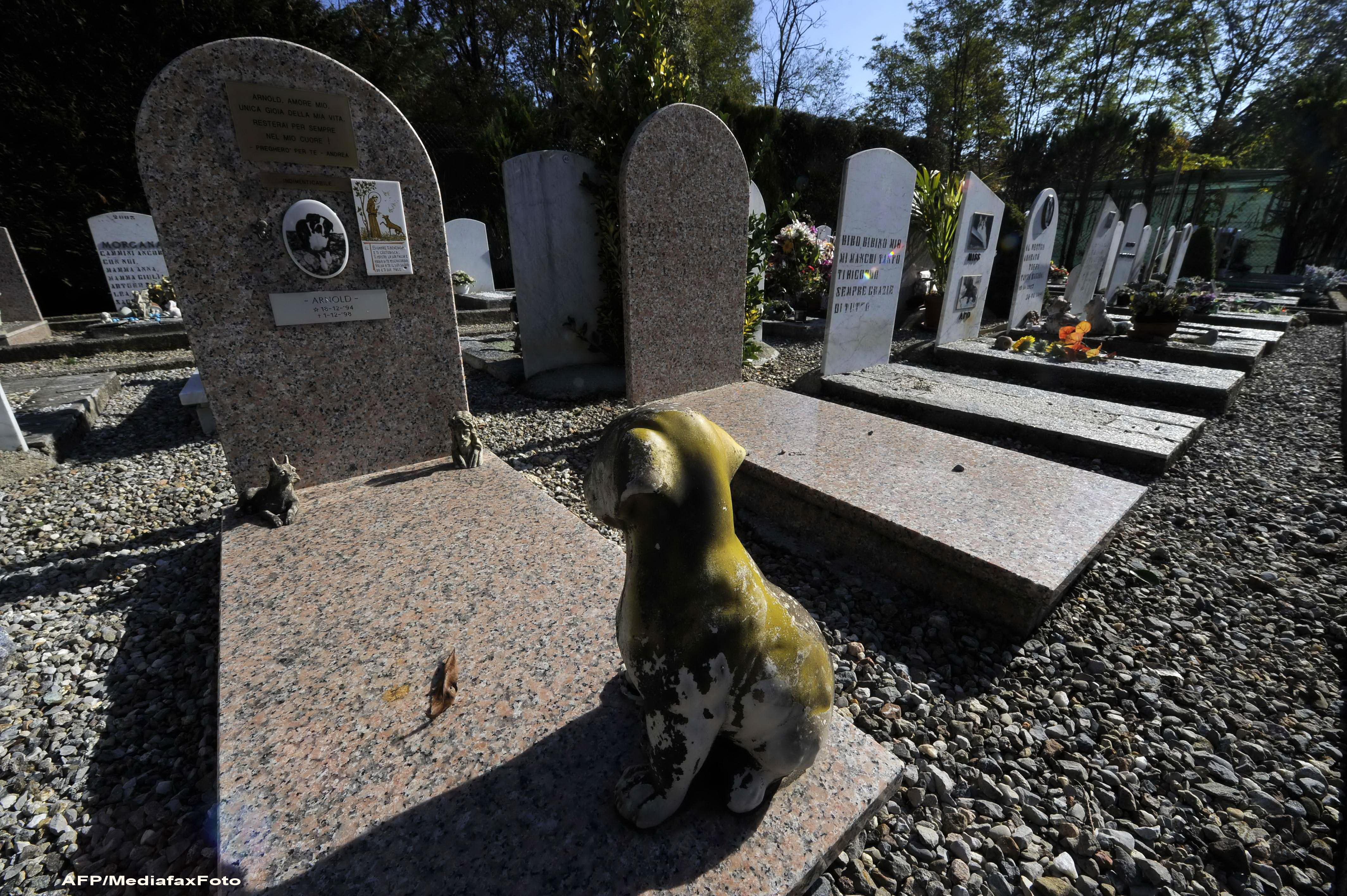 Bizar. Familia si prietenii unui barbat care a murit in 2011 INCA primesc e-mail-uri de la el. VIDEO