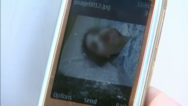 Incident grav la o scoala PRIVATA din Capitala.Eleva de 8 ani, desfigurata in timp ce se afla la ore