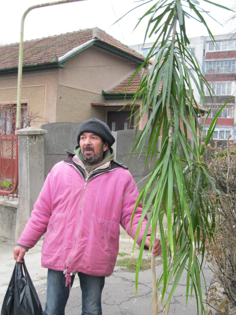 Iubeste atat de mult florile, incat le fura. Un fost gradinar a ajuns hot de flori