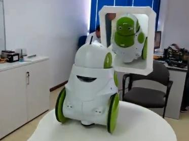 VIDEO. Un robotel se vede pentru prima data in oglinda. Iata reactia lui incredibila