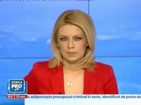 Hotii s-au specializat in furturile de caini, ca sa ceara apoi recompensa stapanilor