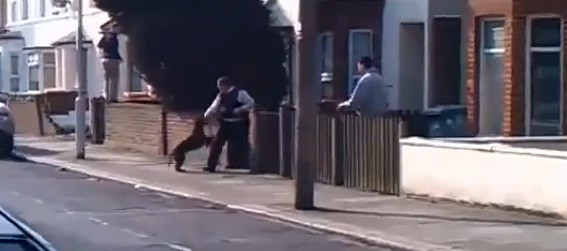 VIDEO socant:5 politisti, atacati de pitbull-ul infractorului. "Urlau de durere.Cainele i-a sfasiat"