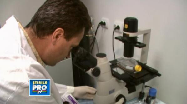 microscop, laborator, telocite