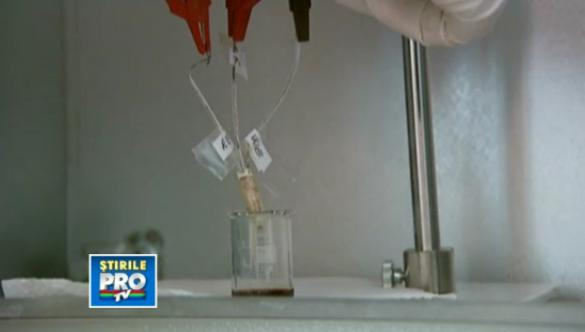 Cancerul depistat in 6 minute.Marea reusita a unei romance care si-ar da toti banii pentru cercetare