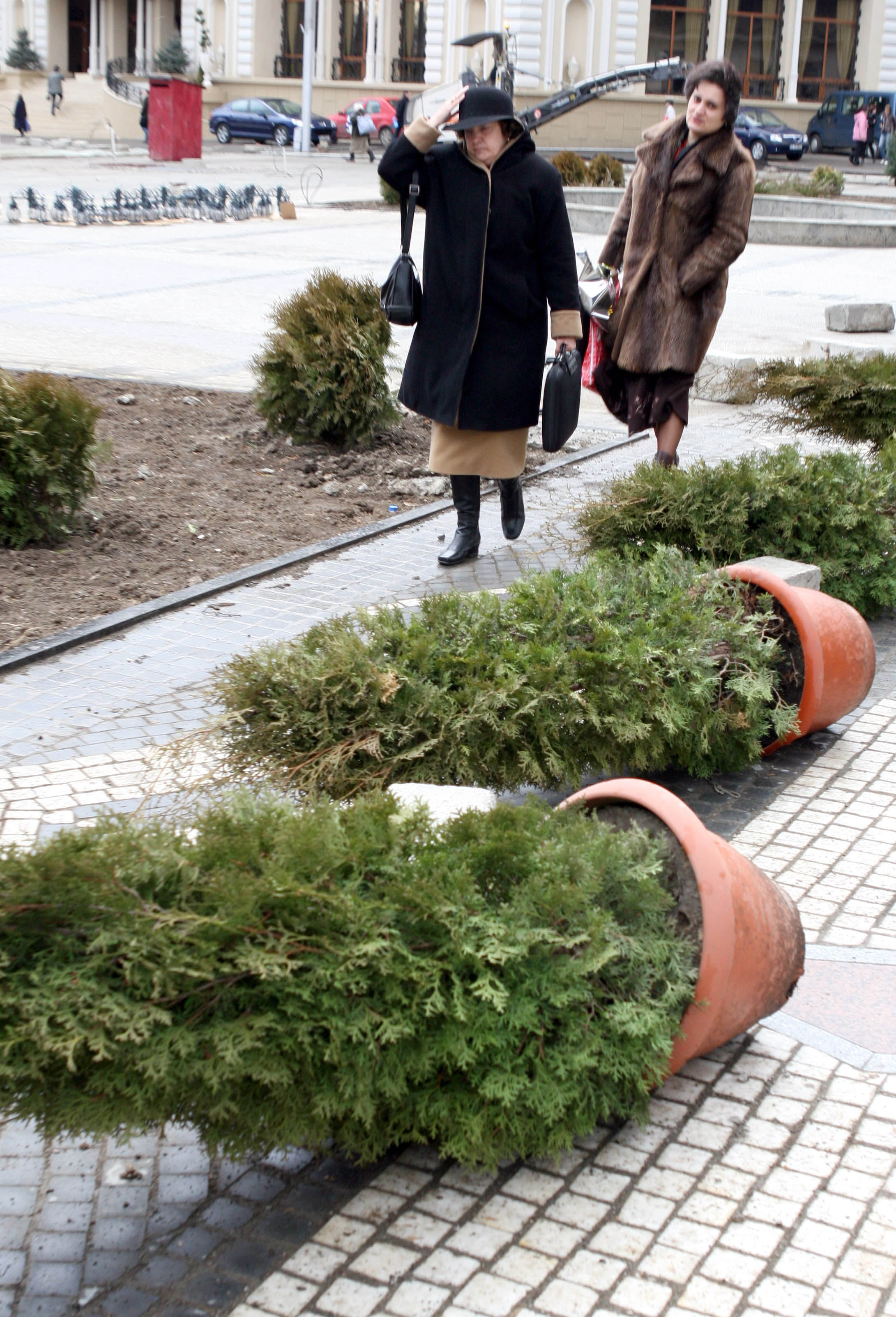 Avertizare de vant puternic in opt judete din Moldova. Vantul va depasi 60 de kilometri pe ora