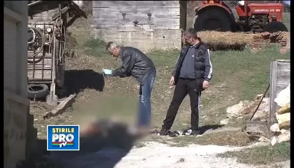 Si-a gasit sfarsitul in fantana din curtea casei