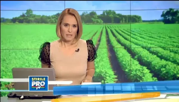 De Paste vom manca legume scumpe si fara gust. Iarna grea a afectat productia din acest an