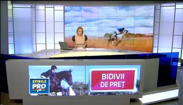 Caii pursange, din nou la mare cautare. Romanii care au grija de ei, platiti regeste in Orient