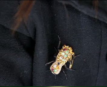 Gandaci pe post de bijuterii vii. VIDEO