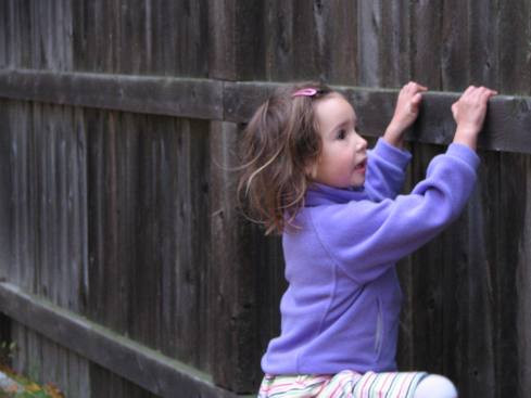 Hackerii de la Anonymous incearca sa salveze o fetita de 4 ani