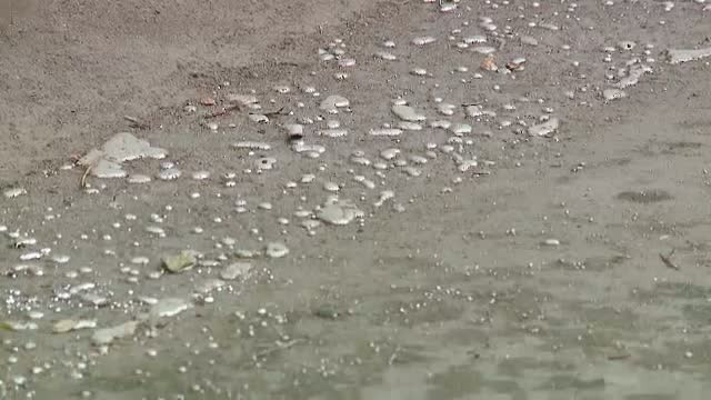 Alerta intr-un cartier din Constanta.Trecatorii au observat o dara de mercur pe trotuar