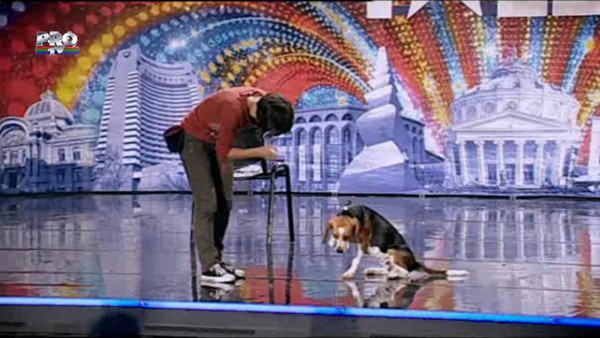 Iulia Lazar, la Romanii au Talent. Catelusa sa, Bailey, a facut un moment fantastic