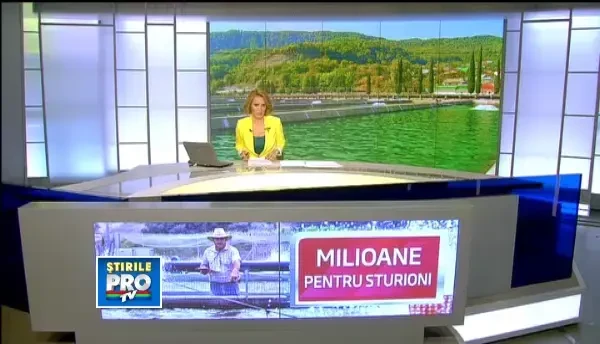 Caviarul si sturionii nu vor mai fi un lux. Programul de repopulare ar putea ieftini pestele