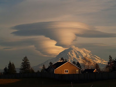 "A venit din nou. Suntem ingroziti". Aparitia bizara care a inchis un aeroport din China