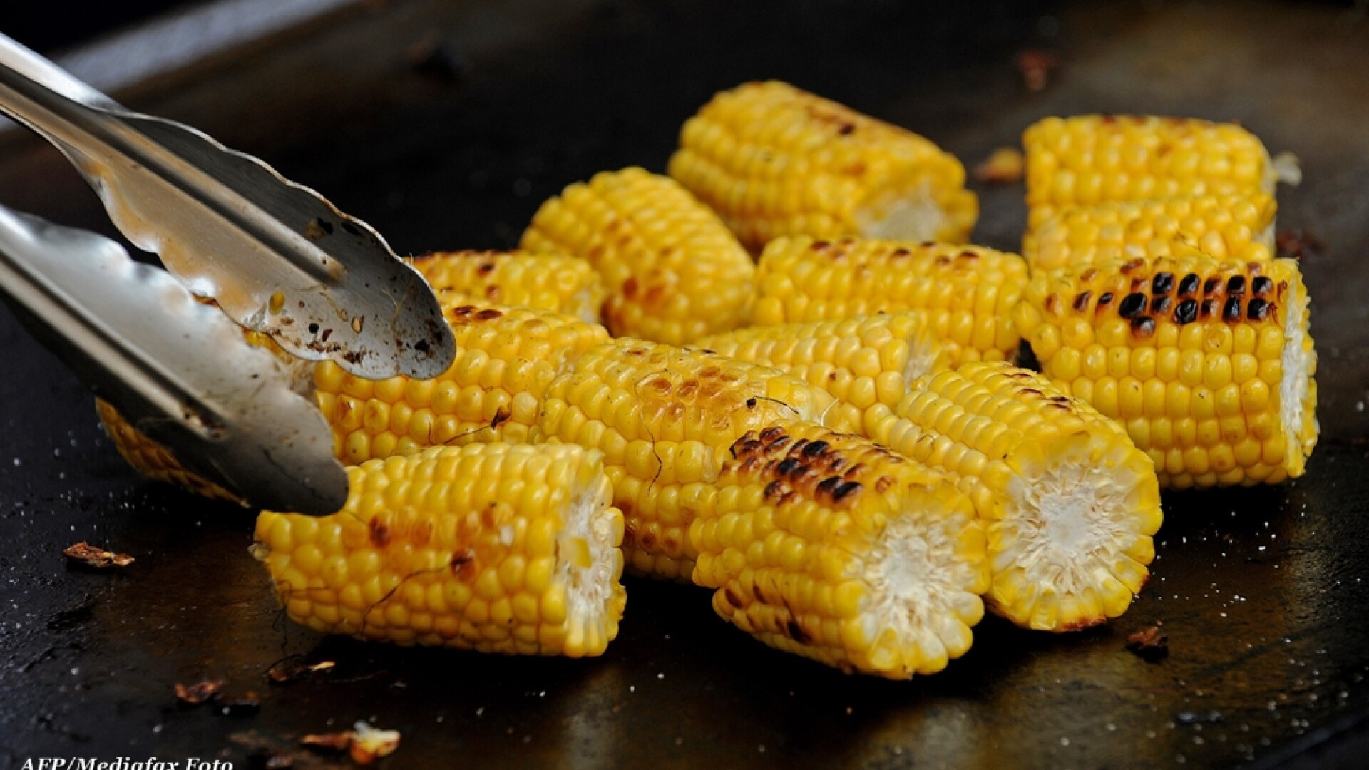 Romania, foarte aproape sa redevina "granarul" Europei. Suntem vice-campioni la porumb