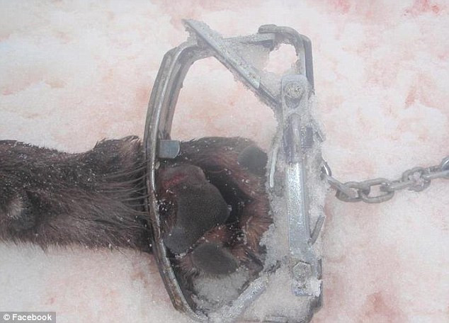 Imaginile care au starnit un RAZBOI pe internet. "Voi urmati!"