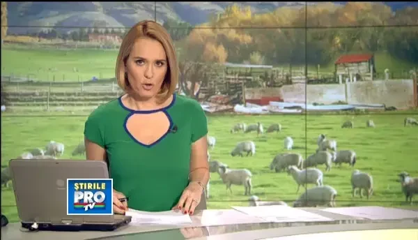 Cum sa faci avere din subventiile APIA fara sa respecti legea. Un fost primar detine reteta