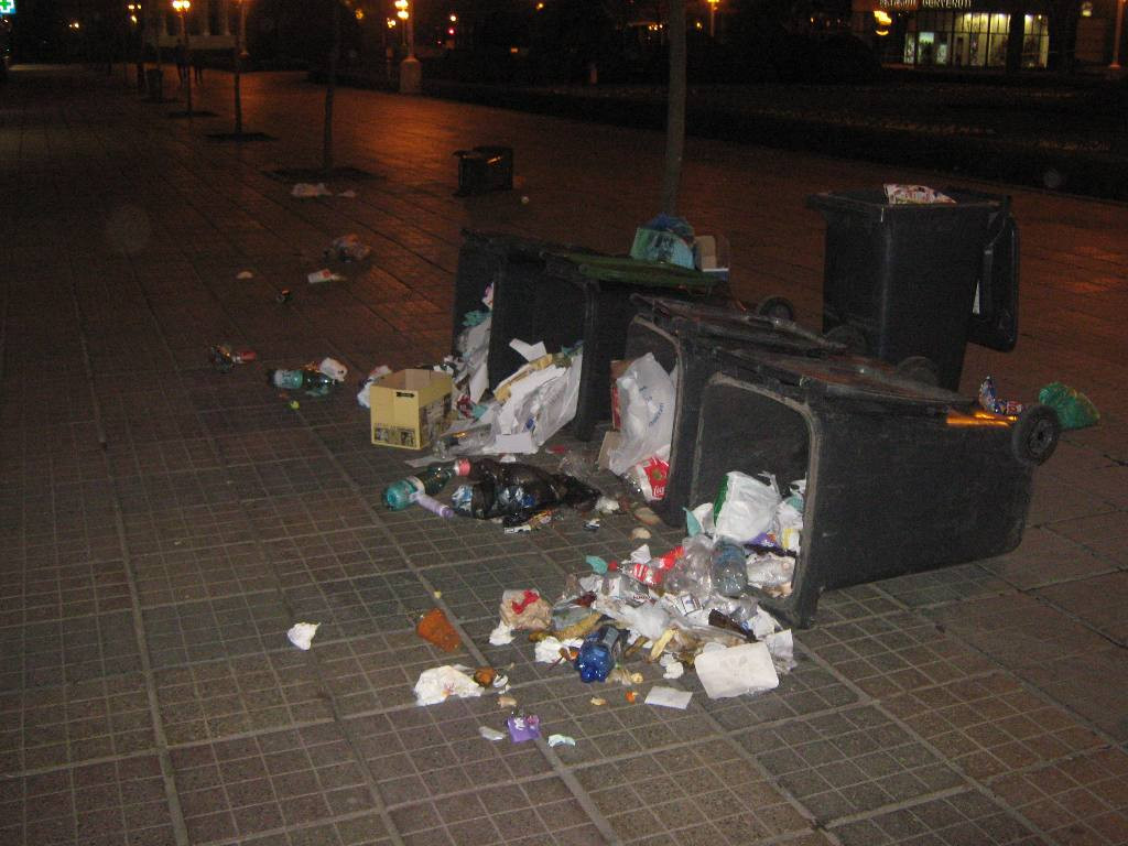 Vandalizare urat mirositoare, in centrul Timisoarei. Vizate au fost toate cosurile de gunoi