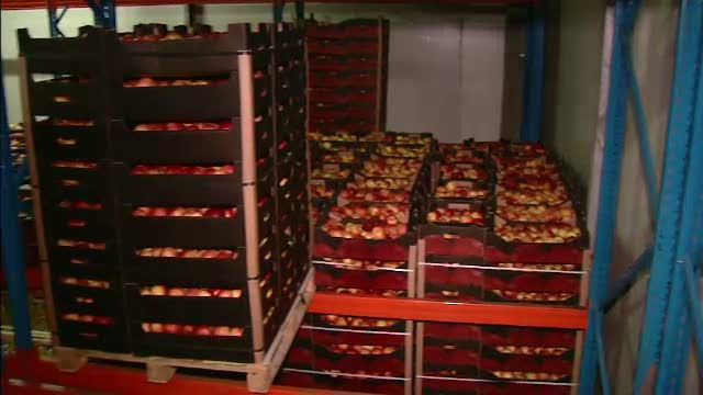 Doar mere vom avea din belsug. Vom importa restul fructelor si vom plati scump pentru asta