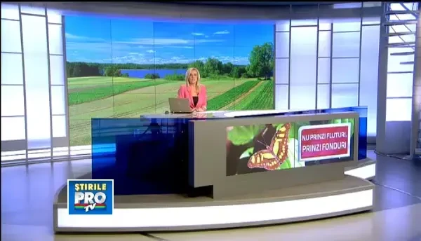 Fermierii romani, "prieteni" buni cu gastele cu gat rosu si fluturii Maculinea. Le aduc bani frumosi