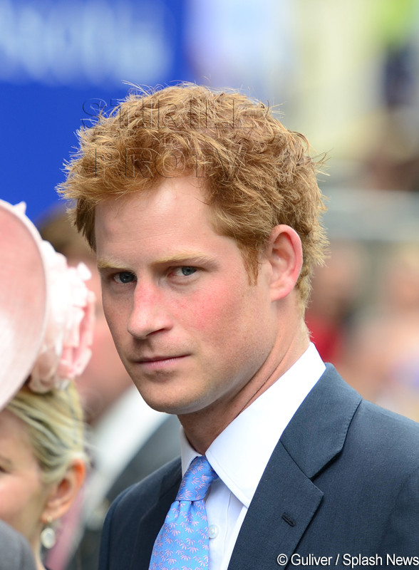 Printul Harry a primit o oferta de 10 milioane de dolari pentru a juca intr-un film pentru adulti