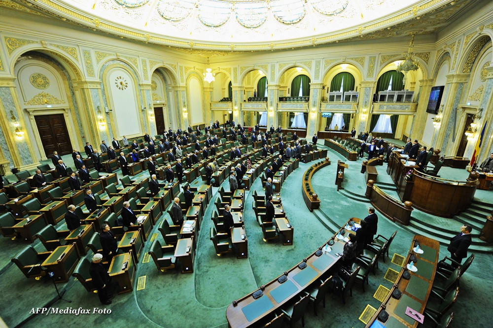 Senat: Functionarii care nu vorbesc romaneste ar putea fi sanctionati cu desfacerea contractului