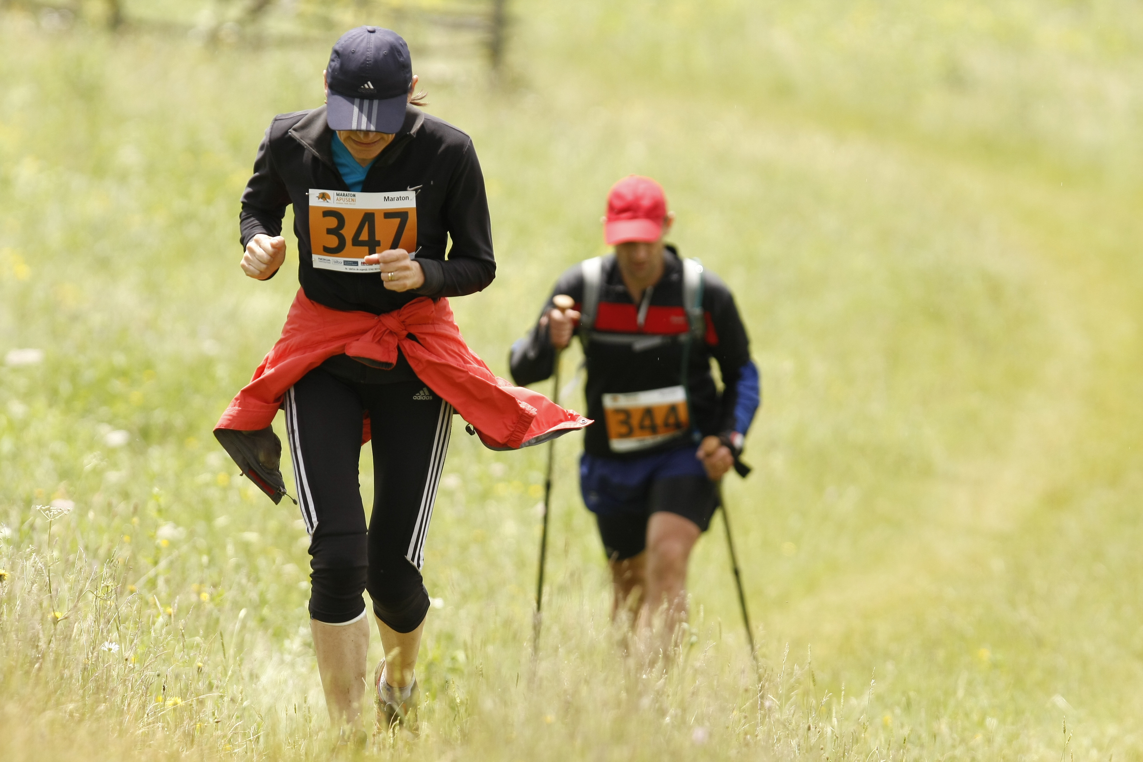 Participanti neasteptati la Maratonul Apusenilor