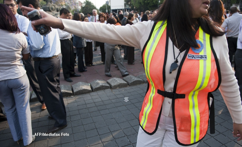Doua cutremure, cu magnitudinea de 6,9 si 6,5, au avut loc in Mexic
