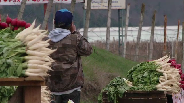 CAMERA ASCUNSA: Etichetele "abia culese" si "eco", pacatele comerciantilor in Saptamana Mare