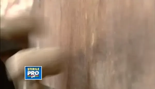 "Romania, te iubesc!": Manastirea Rohia, coltul de rai unde Steinhardt a scris "Jurnalul fericirii"