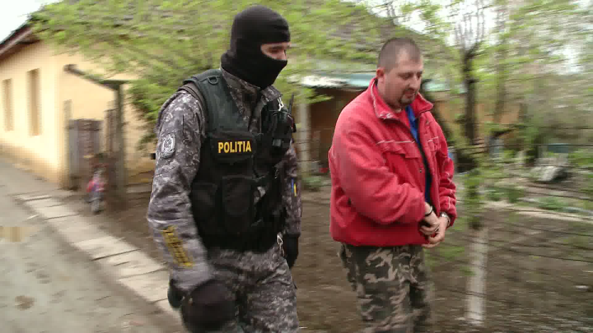 Descinderi la mai multe adrese din Timis. Vizata este o grupare specializata in furtul de cereale