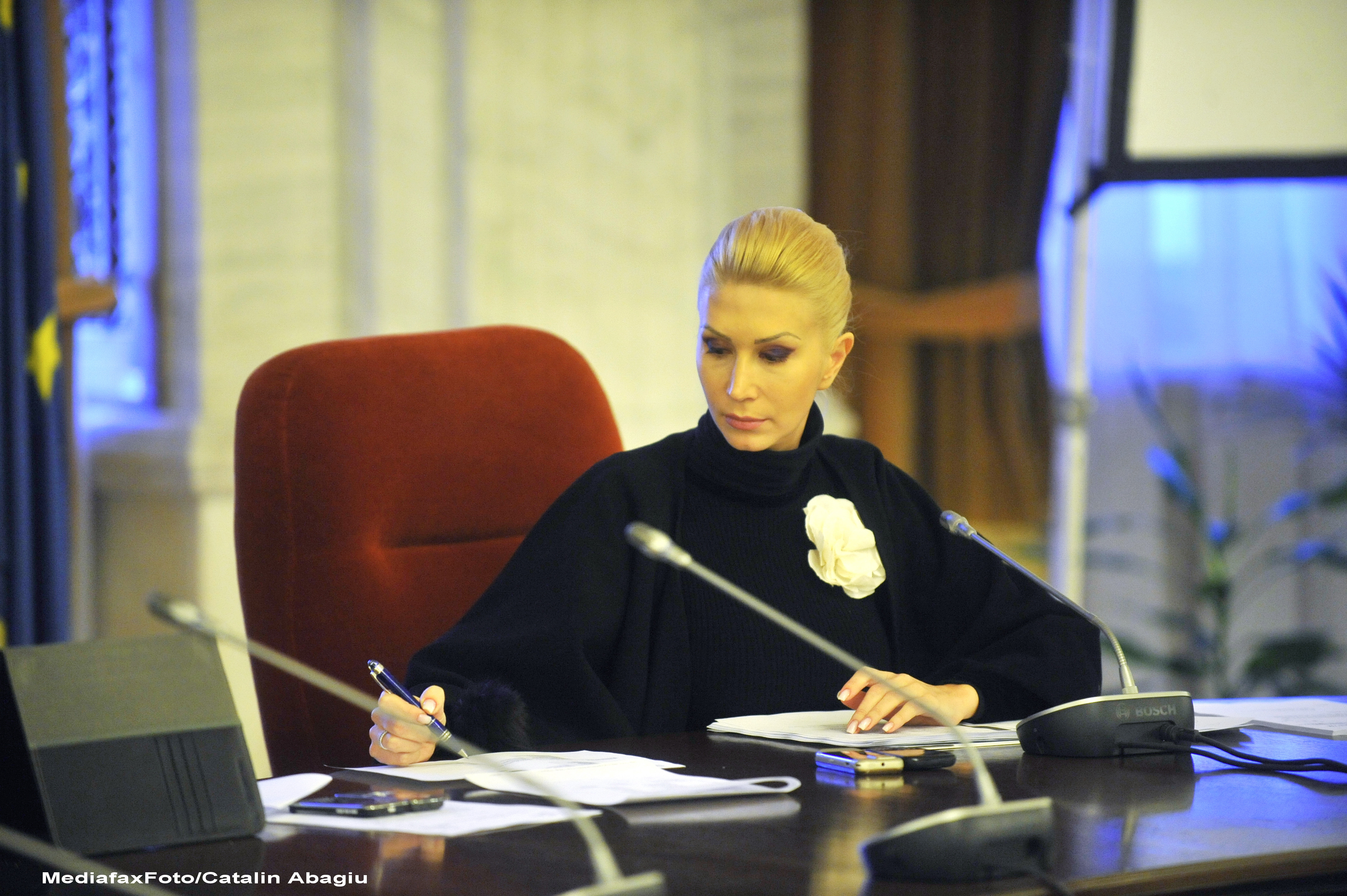 Raluca Turcan: Pare ca depindem tot mai mult de proiectul politic al premierului Ungureanu