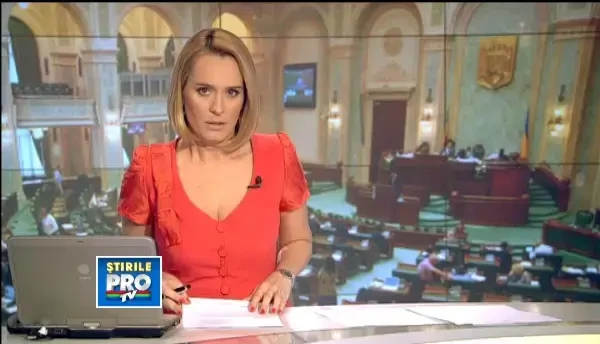 Opozitia preia majoritatea in Senat. Mihaela Popa a trecut de la PDL la PNL