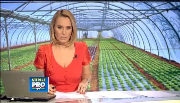 Insectele olandeze ajuta agricultura romaneasca eco. Solutia inedita pentru a scapa de insecticide