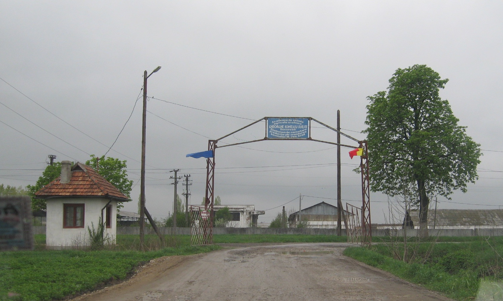 Peste 300 de aradeni locuiesc la aceeasi adresa. Afla explicatia