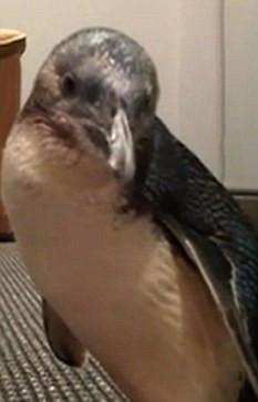 "Ne-am trezit din betie si nu ne mai aminteam nimic".Scenariul "Marea Mahmureala", devenit realitate