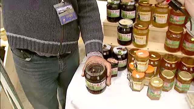 GHIDUL apicultorilor: cum deosebesti mierea adevarata de produsele contrafacute de pe piata. VIDEO