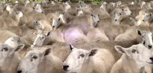 VIDEO. O reclama Samsung sugereaza ca utilizatorii de iPhone sunt niste oi