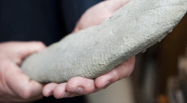 "E ca Godzilla". Fosila unei creaturi ce a trait sub ape ii lasa fara explicatii pe expertii din SUA