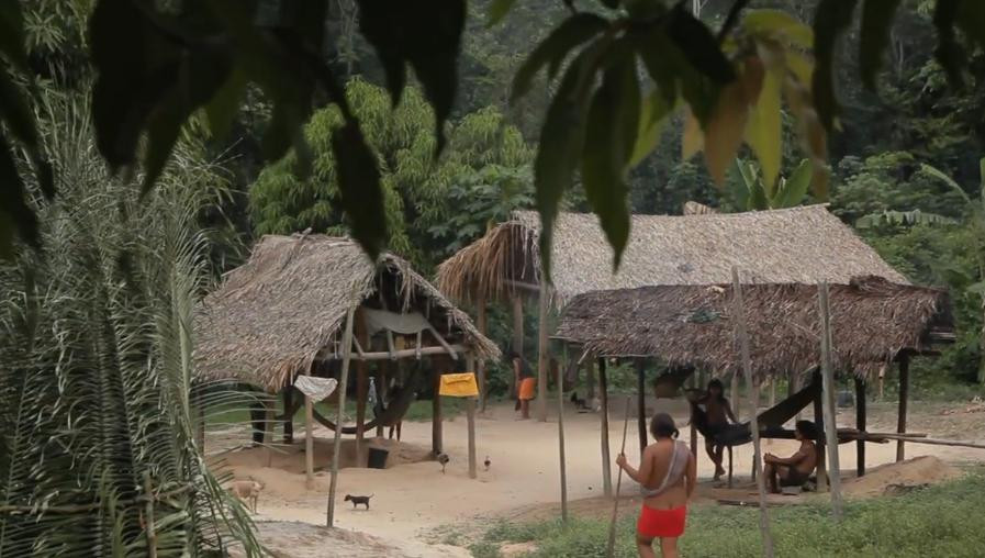 VIDEO si FOTO. Acestea ar putea fi printre ultimele imagini cu o lume pe cale de disparitie