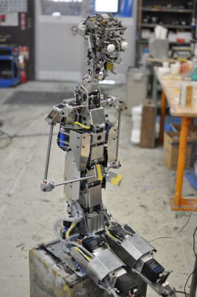 In urmatorii 5 ani vor aparea meserii care pana acum n-au mai existat in Romania