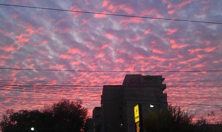 Poveste de cartier: Cum s-a ratat cel mai bun prieten din generala!