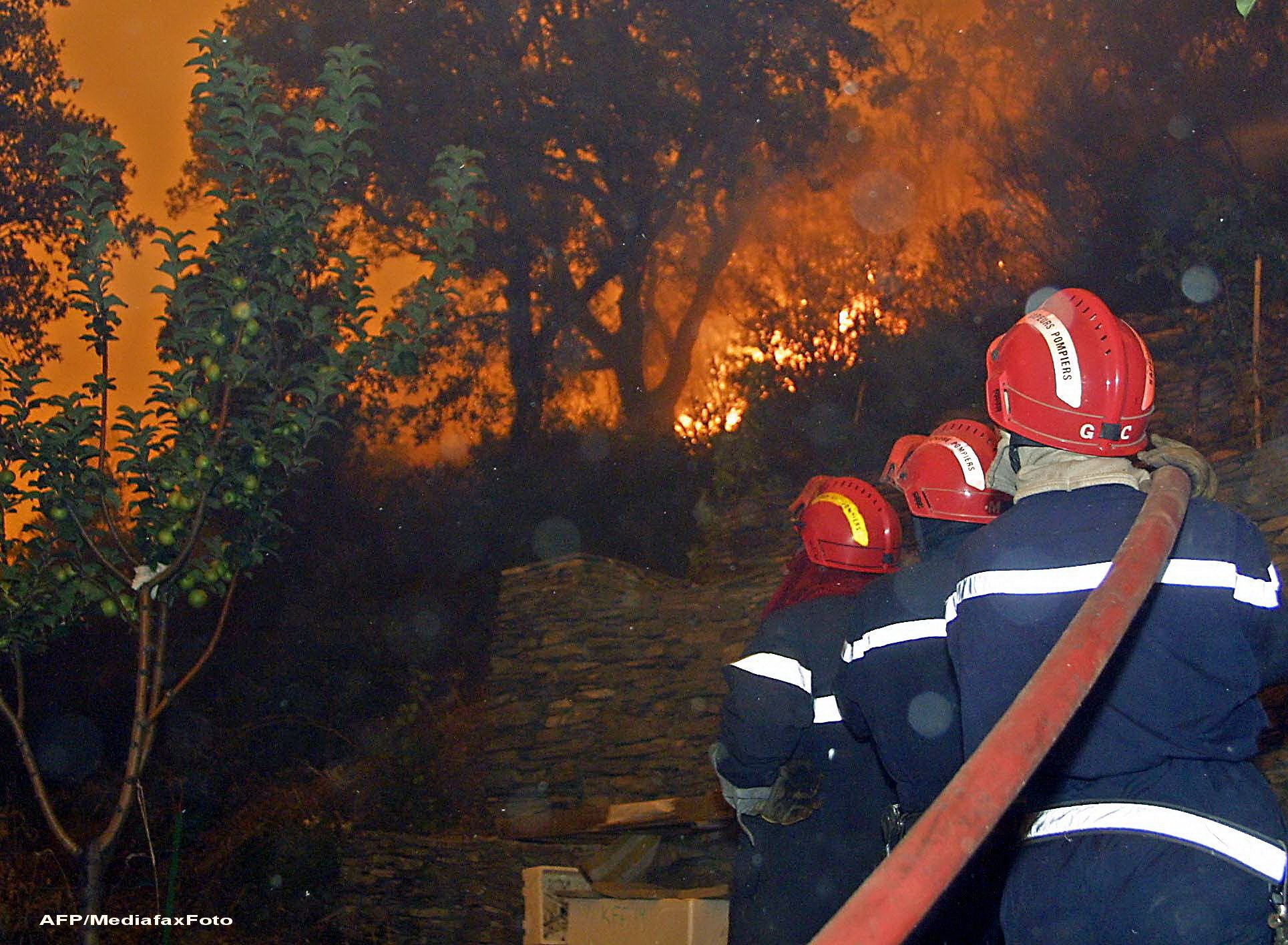Inconstienta de 1 Mai. 30 de hectare de PADURE din Suceava au luat foc din cauza unui gratar