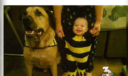 Aceasta fotografie ar fi trebuit sa fie privita cu drag peste ani. Totul s-a transformat in tragedie