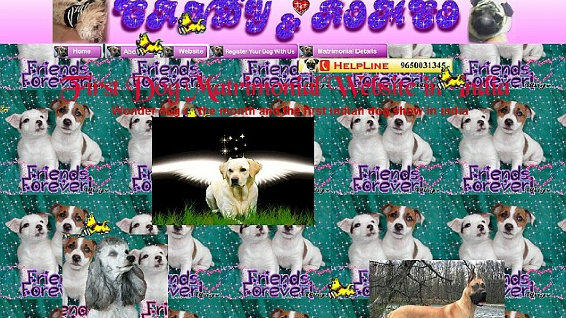 FOTO. Cele mai neinspirate site-uri din lume. Topul designerilor "de cosmar"