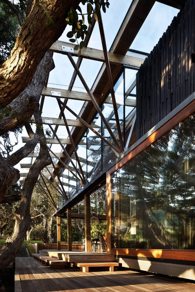 Casa "de sub copaci" sau ce se "naste" din lemn!