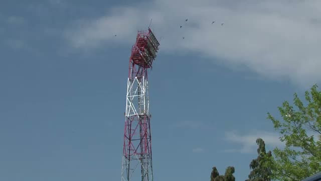S-a urcat pe nocturna din Trivale in semn de protest. Soarele si ciorile l-au convins sa coboare